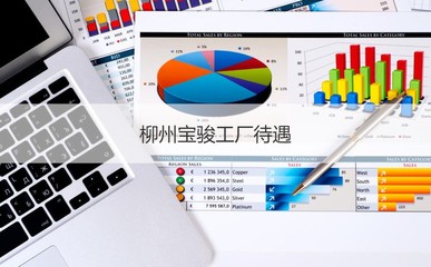 柳州寶駿工廠待遇與汽車(chē)配件研發(fā)概況